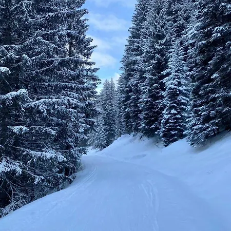 Kerstin 4 By Smr - Inc And Near Gondola Rauris